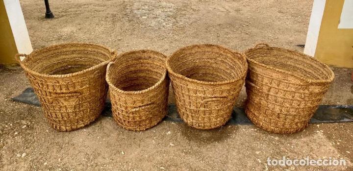 Antiguidades: CESTOS O SERAS ANTIGUAS DE ESPARTO