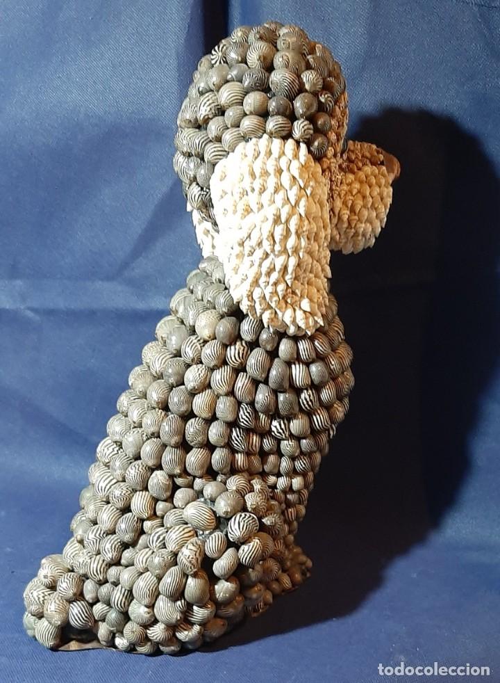 Antig&uuml;edades: Figura perro de conchas y caracolas - Foto 4