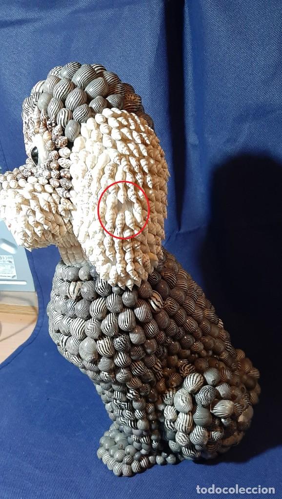 Antig&uuml;edades: Figura perro de conchas y caracolas - Foto 6