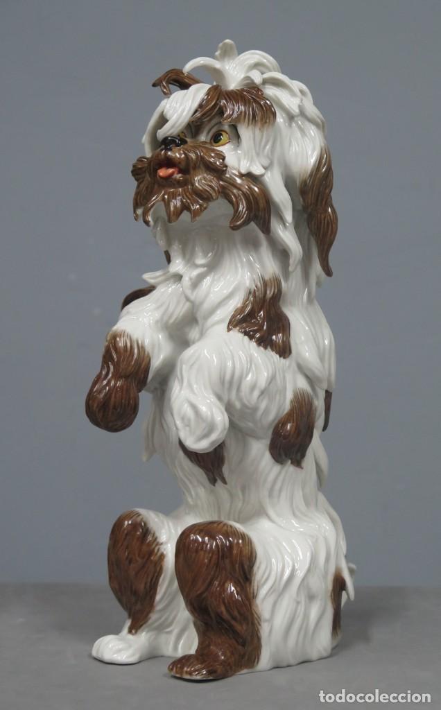 Antig&uuml;edades: BICHON. PORCELANA. ALGORA. PERFECTO ESTADO - Foto 1