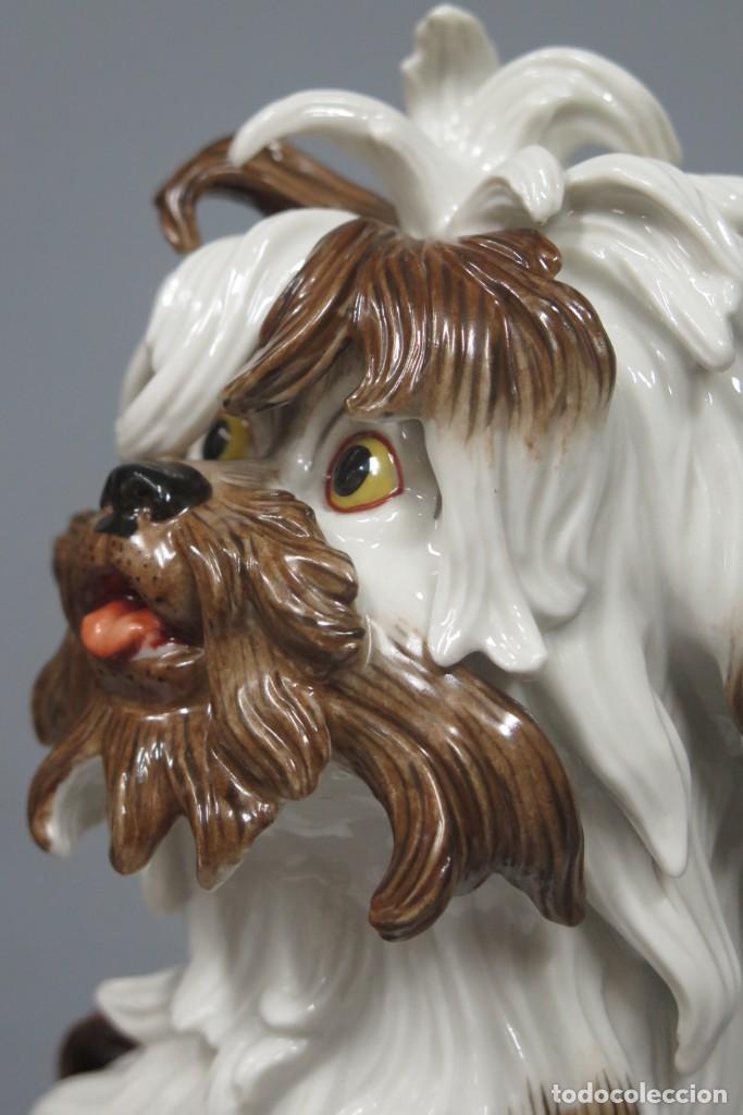 Antig&uuml;edades: BICHON. PORCELANA. ALGORA. PERFECTO ESTADO - Foto 3