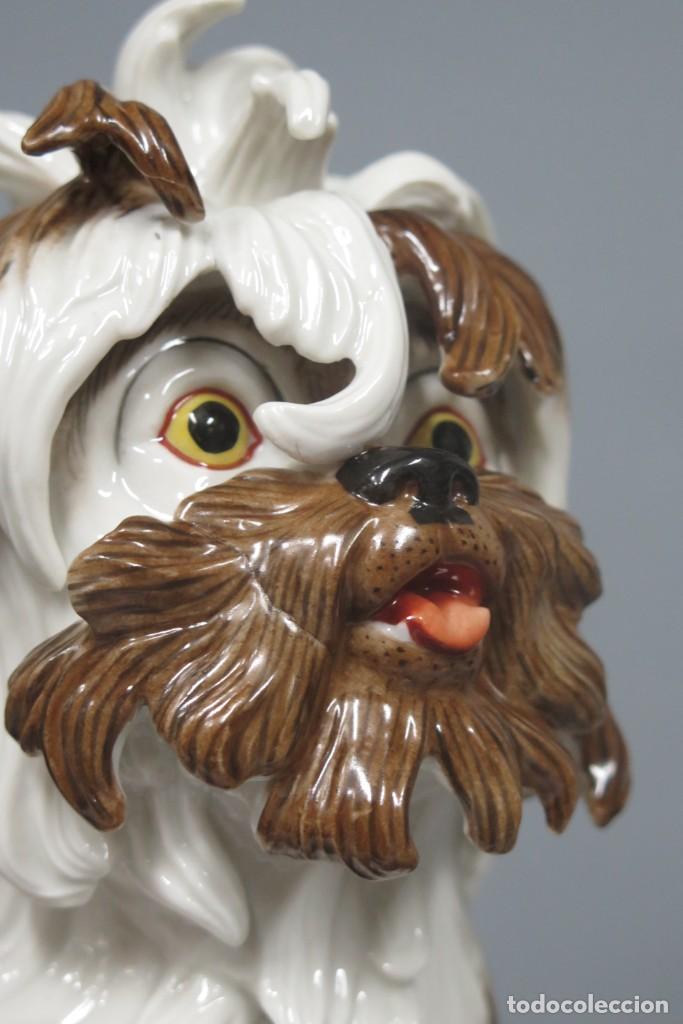 Antig&uuml;edades: BICHON. PORCELANA. ALGORA. PERFECTO ESTADO - Foto 5