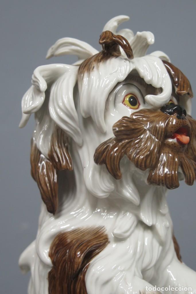 Antig&uuml;edades: BICHON. PORCELANA. ALGORA. PERFECTO ESTADO - Foto 6