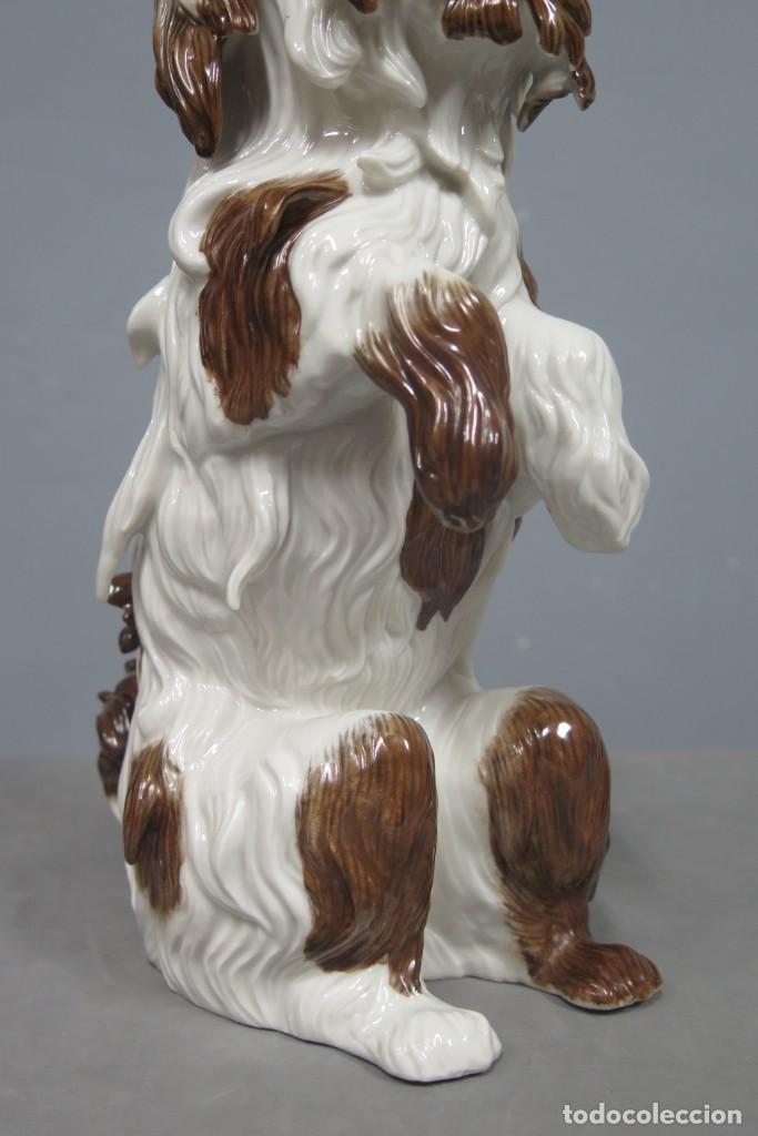 Antig&uuml;edades: BICHON. PORCELANA. ALGORA. PERFECTO ESTADO - Foto 7