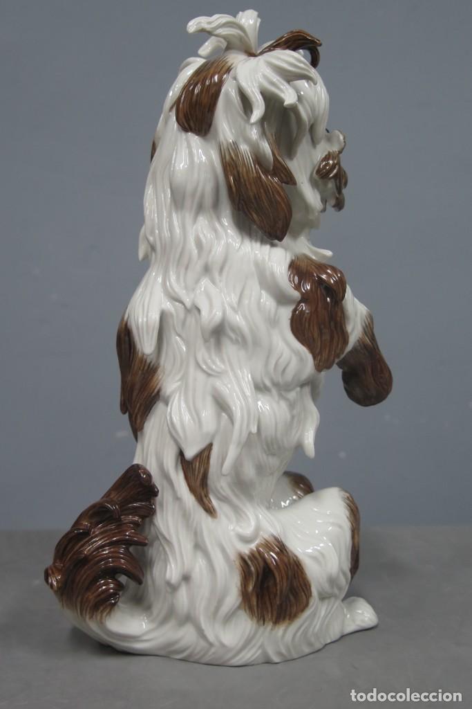 Antig&uuml;edades: BICHON. PORCELANA. ALGORA. PERFECTO ESTADO - Foto 8