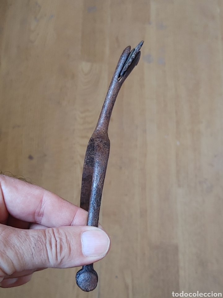 Antig&uuml;edades: Espuela en hierro. - Foto 4