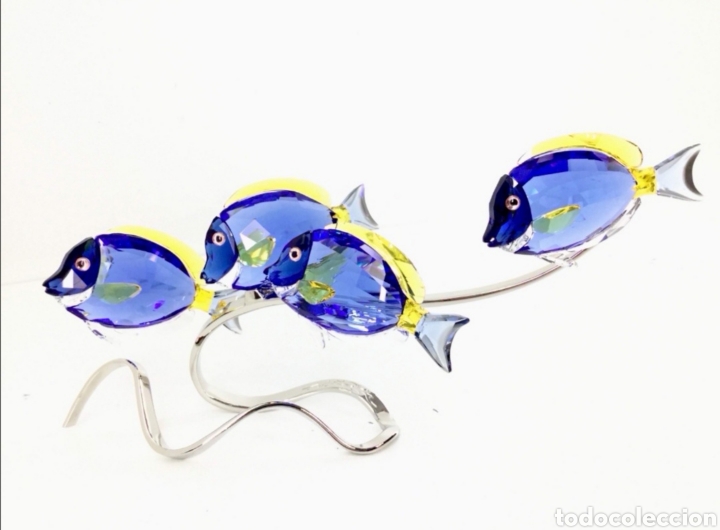 Antig&uuml;edades: Conjunto peces cirujanos - Foto 5
