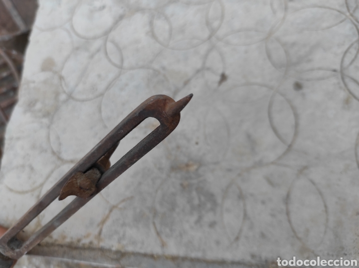 Antig&uuml;edades: Antiguo Abrelatas con Mango de Madera - Foto 5