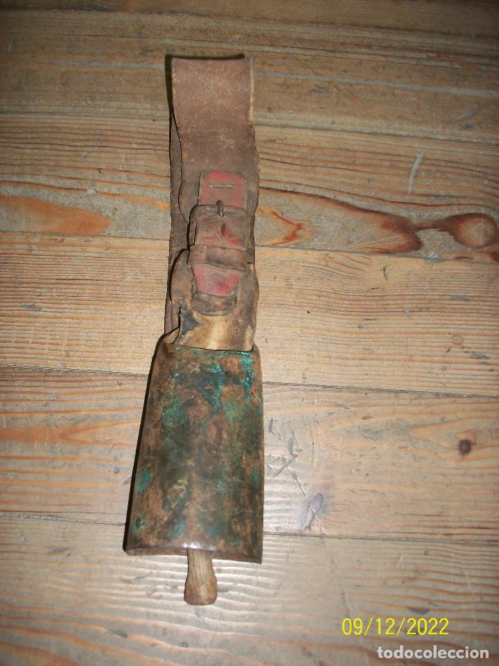 Antig&uuml;edades: ANTIGUO CENCERRO CON COLLAR - Foto 3