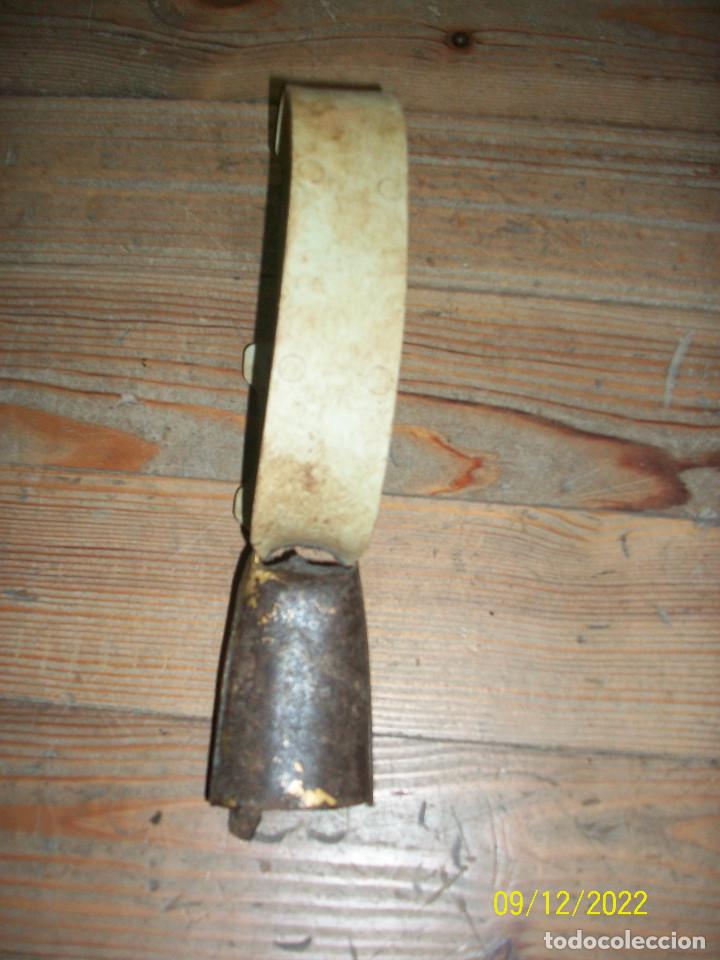 Antig&uuml;edades: ANTIGUO CENCERRO CON COLLAR - Foto 2