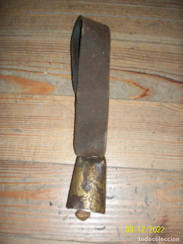 Antig&uuml;edades: ANTIGUO CENCERRO CON COLLAR - Foto 2