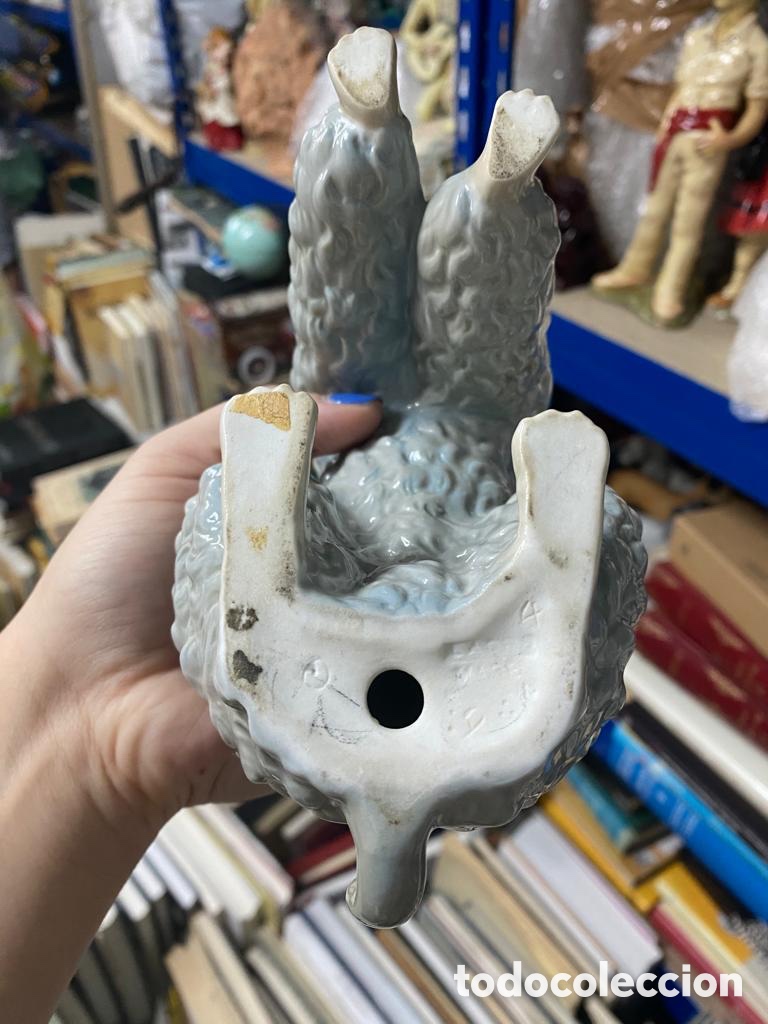 Antig&uuml;edades: CANICHE PERRO LLADRO - 22 CM - Foto 10