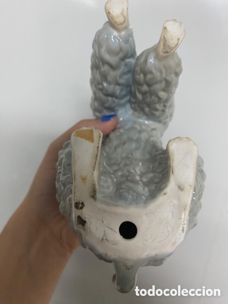 Antig&uuml;edades: CANICHE PERRO LLADRO - 22 CM - Foto 11