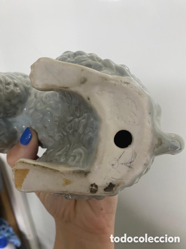 Antig&uuml;edades: CANICHE PERRO LLADRO - 22 CM - Foto 12