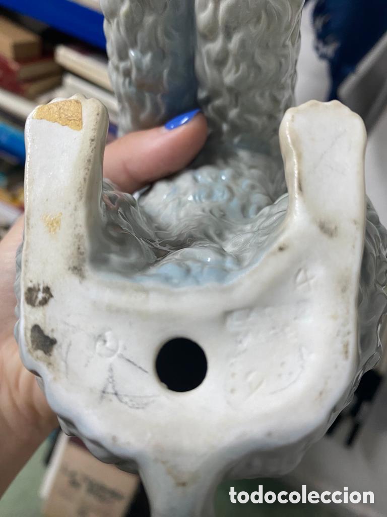 Antig&uuml;edades: CANICHE PERRO LLADRO - 22 CM - Foto 13
