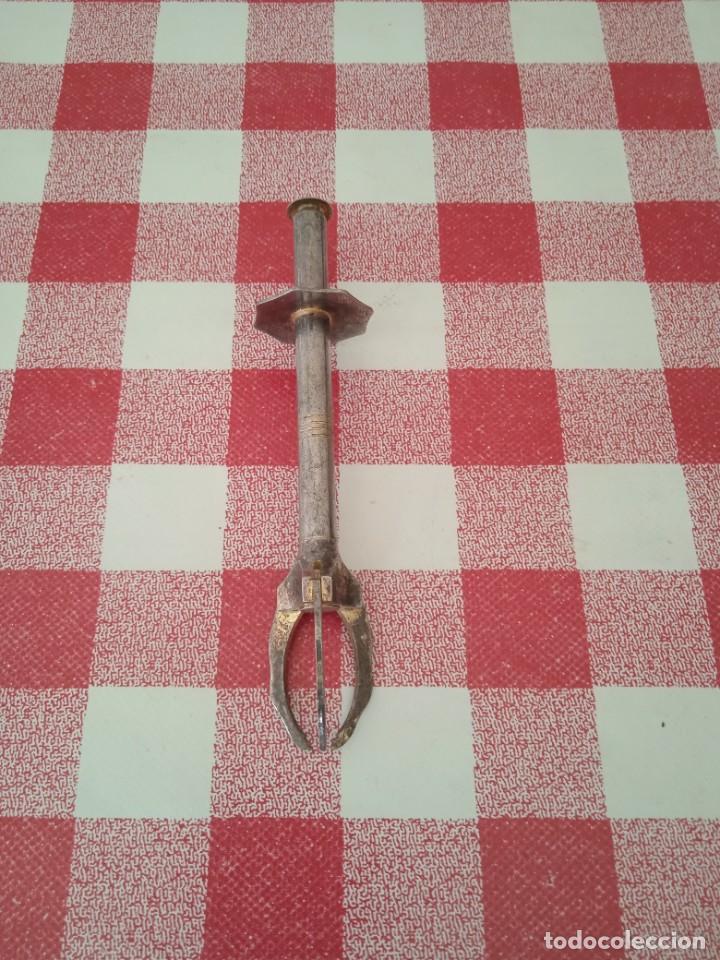 Oggetti Antichi: Pinza para hielo o limon