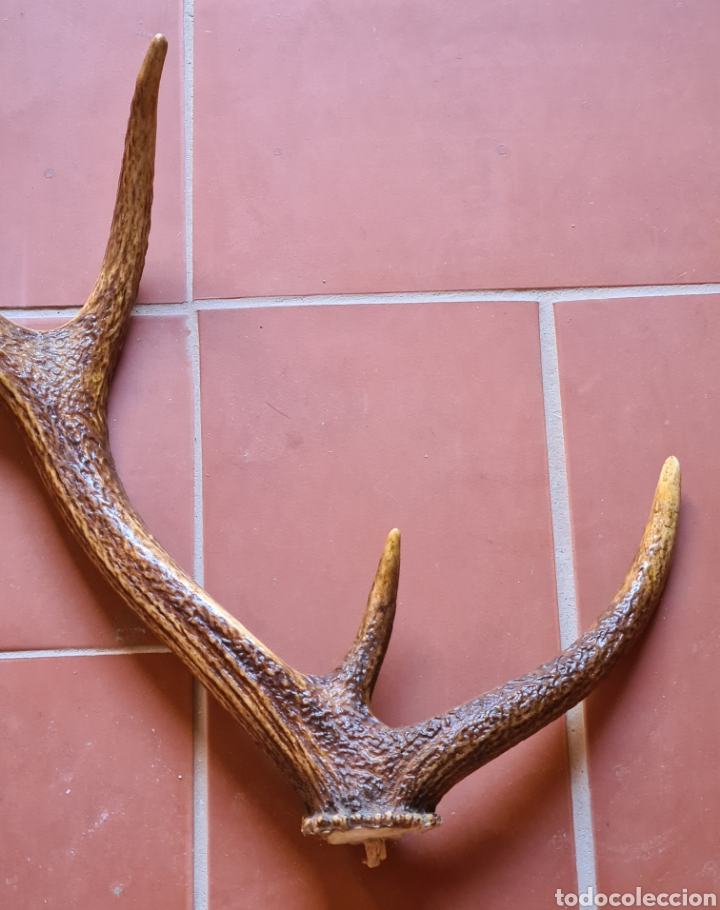 cuerna de ciervo - decoración rústica caza taxi - Compra venta en  todocoleccion