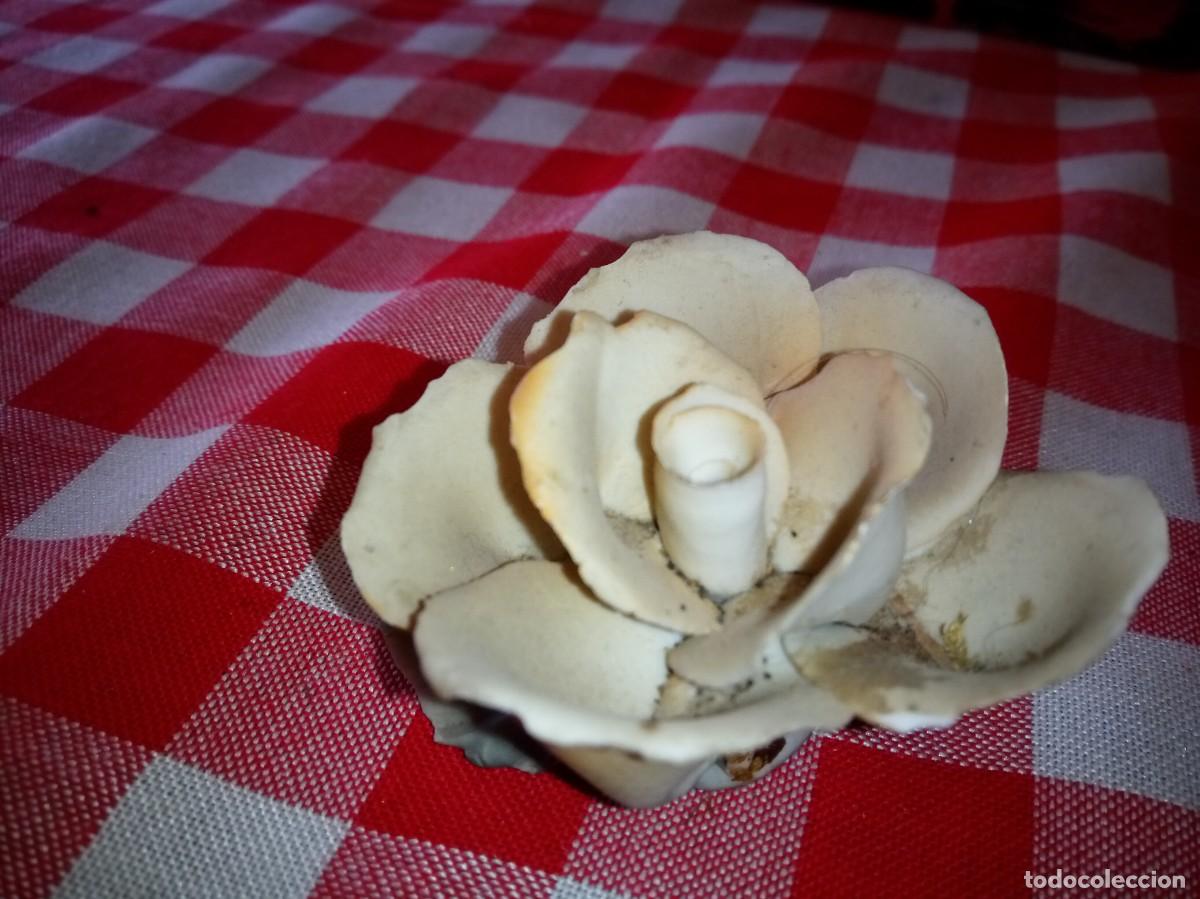 Antig&uuml;edades: FLOR CERAMICA / CAL902 - Foto 1