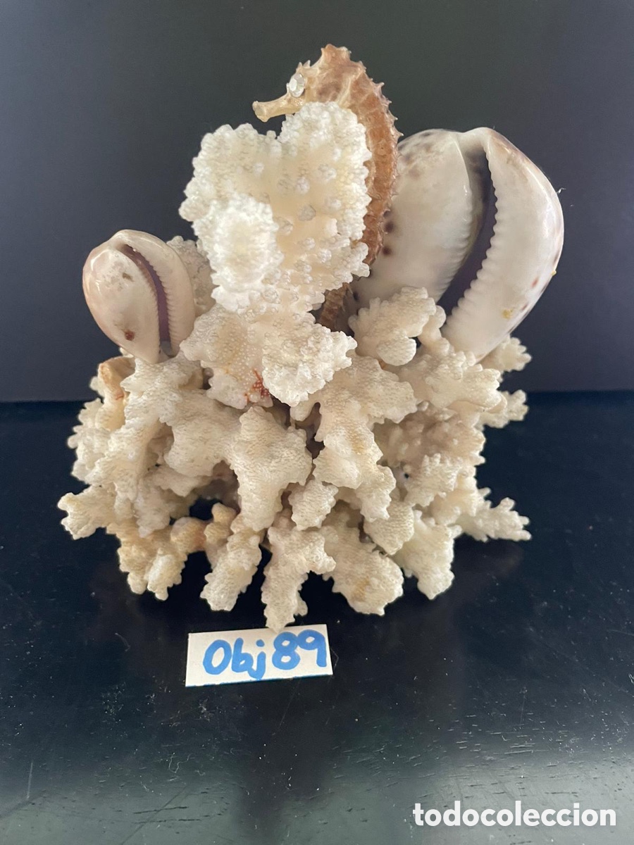 Antig&uuml;edades: Coral blanco - Foto 2