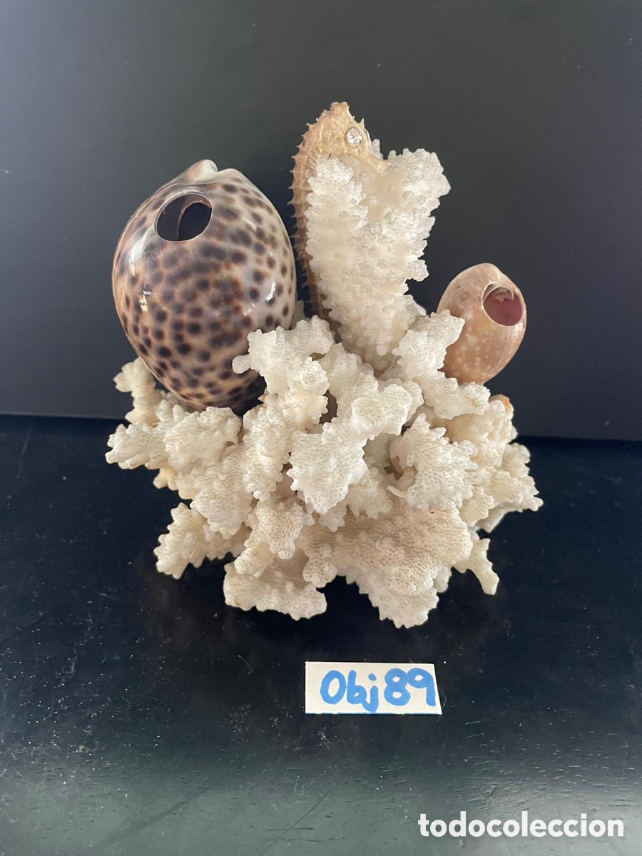 Antig&uuml;edades: Coral blanco - Foto 1