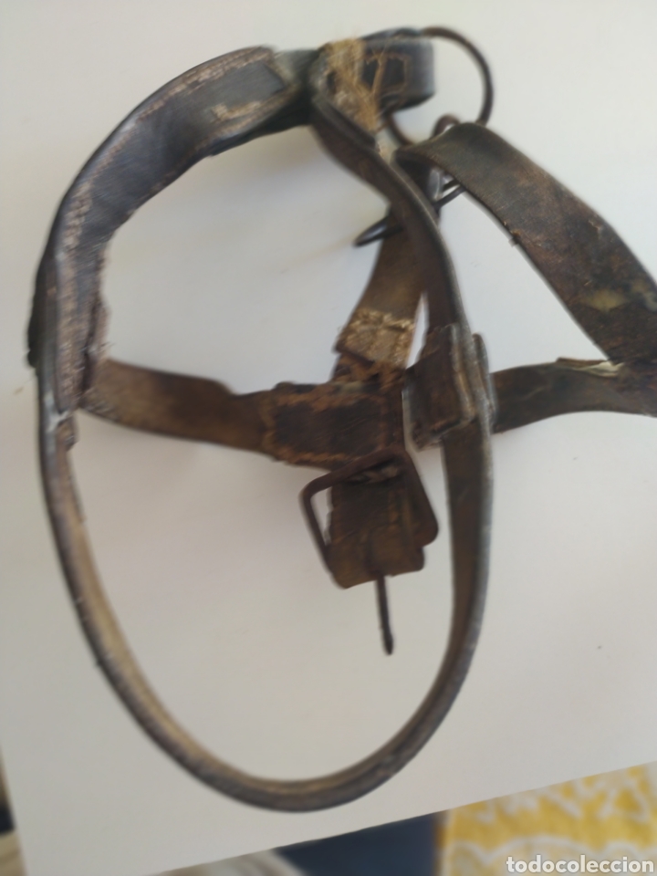 Antig&uuml;edades: Arreos de caballer&iacute;a - Foto 2