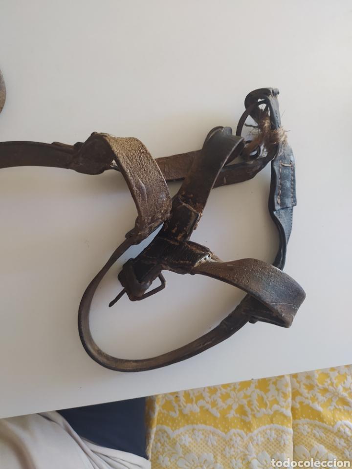 Antig&uuml;edades: Arreos de caballer&iacute;a - Foto 1