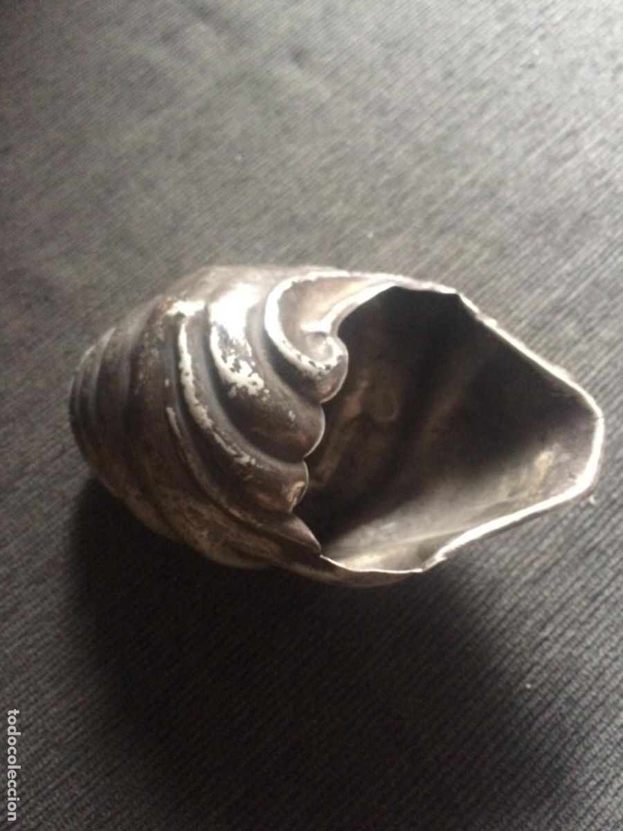 Antig&uuml;edades: Concha plata contrastes - Foto 1
