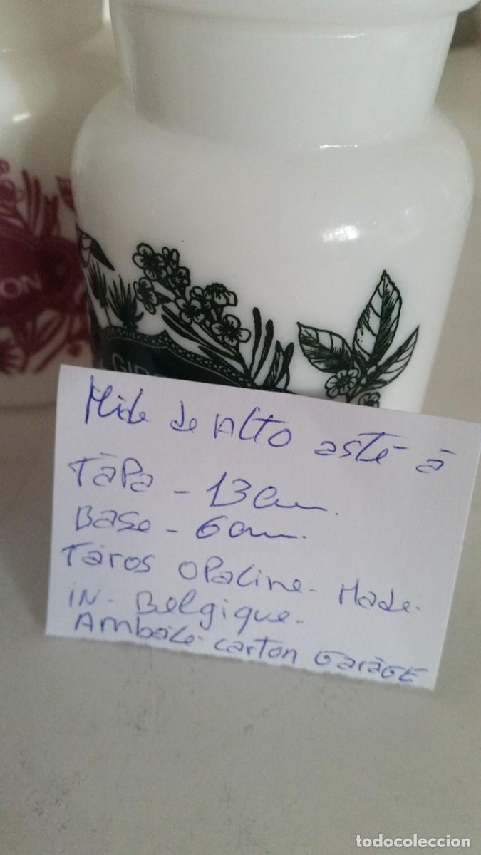 Antig&uuml;edades: ANTIGUIO CONJUNTO DE TAROS DE COSINA EM OPALINA - Foto 13
