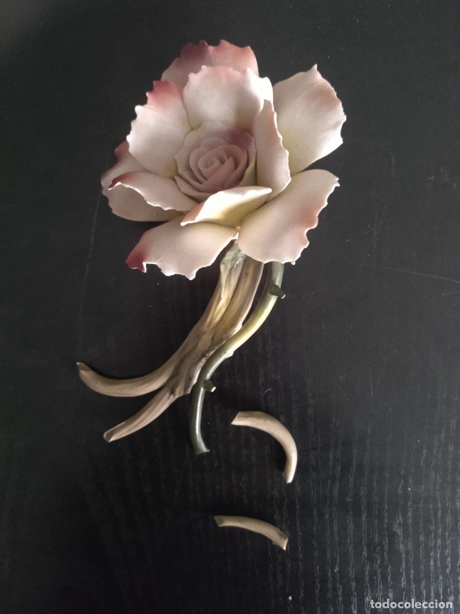 Antig&uuml;edades: Rosa casadimonte . - Foto 1