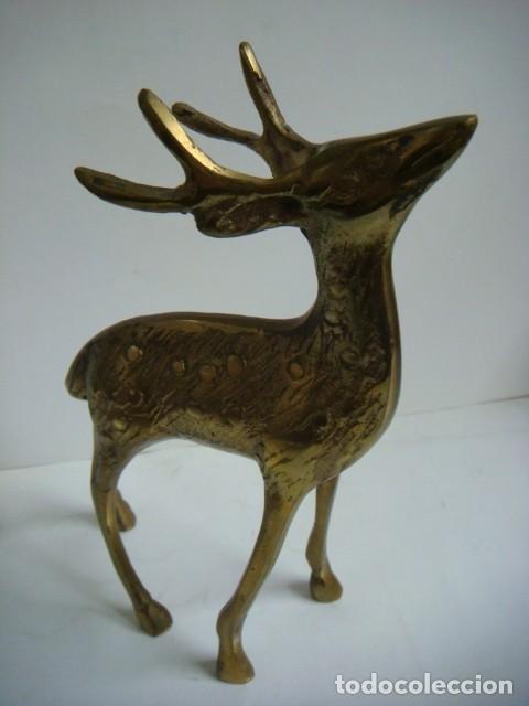 Antig&uuml;edades: FIGURA EN BRONCE DE UN CIERVO-(&) - Foto 1