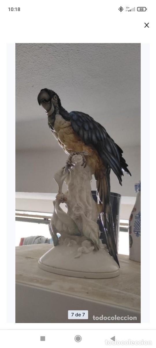 Antig&uuml;edades: Loro capodimonte - Foto 2