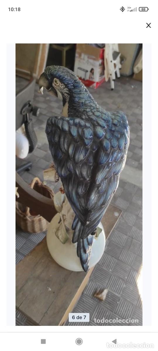 Antig&uuml;edades: Loro capodimonte - Foto 3