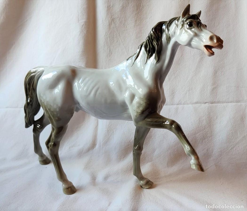 Antig&uuml;edades: ESPECTACULAR CABALLO DE PORCELANA - Foto 1