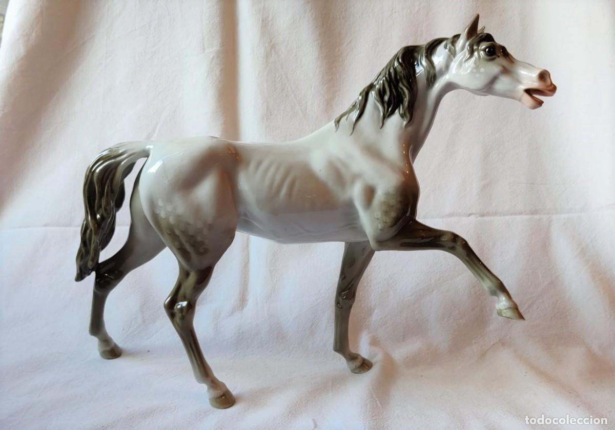 Antig&uuml;edades: ESPECTACULAR CABALLO DE PORCELANA - Foto 2
