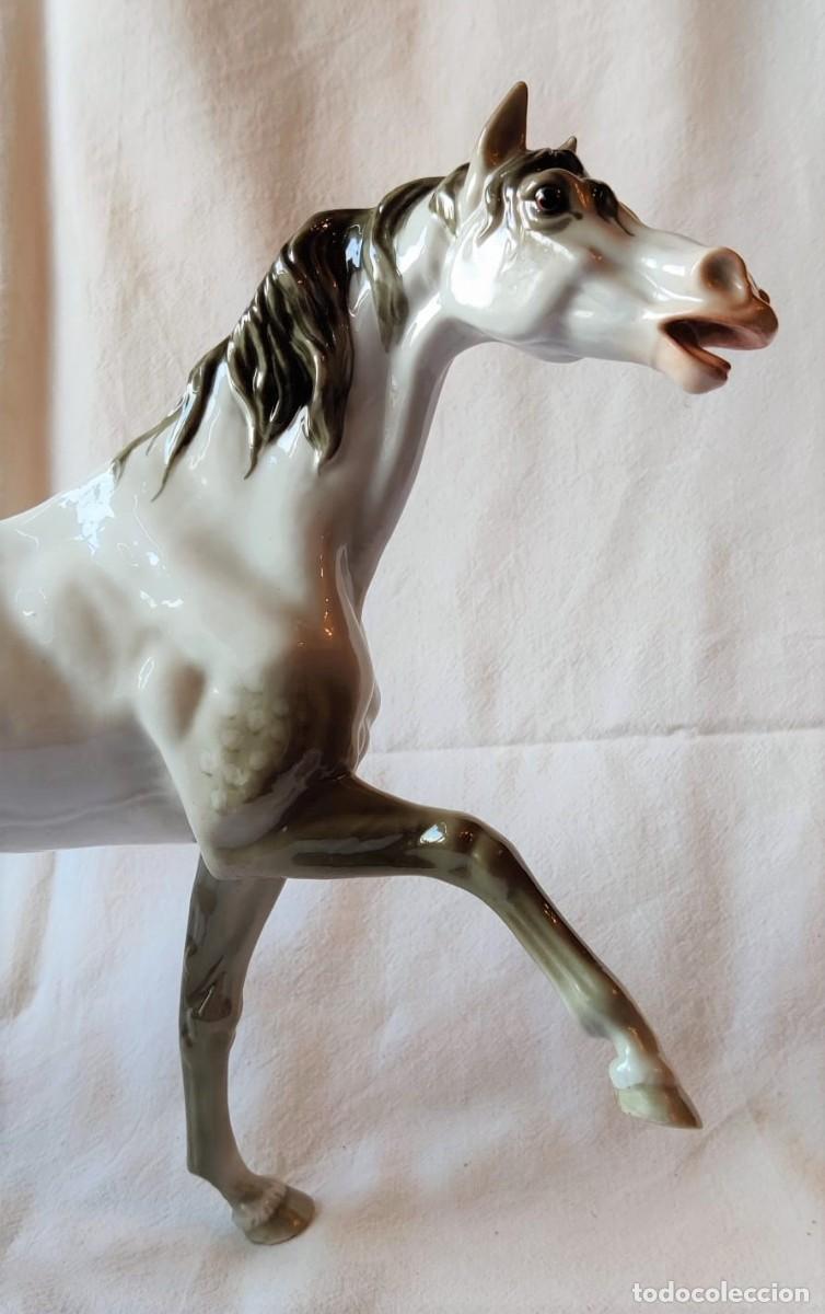 Antig&uuml;edades: ESPECTACULAR CABALLO DE PORCELANA - Foto 4