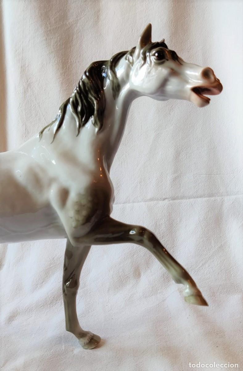 Antig&uuml;edades: ESPECTACULAR CABALLO DE PORCELANA - Foto 5