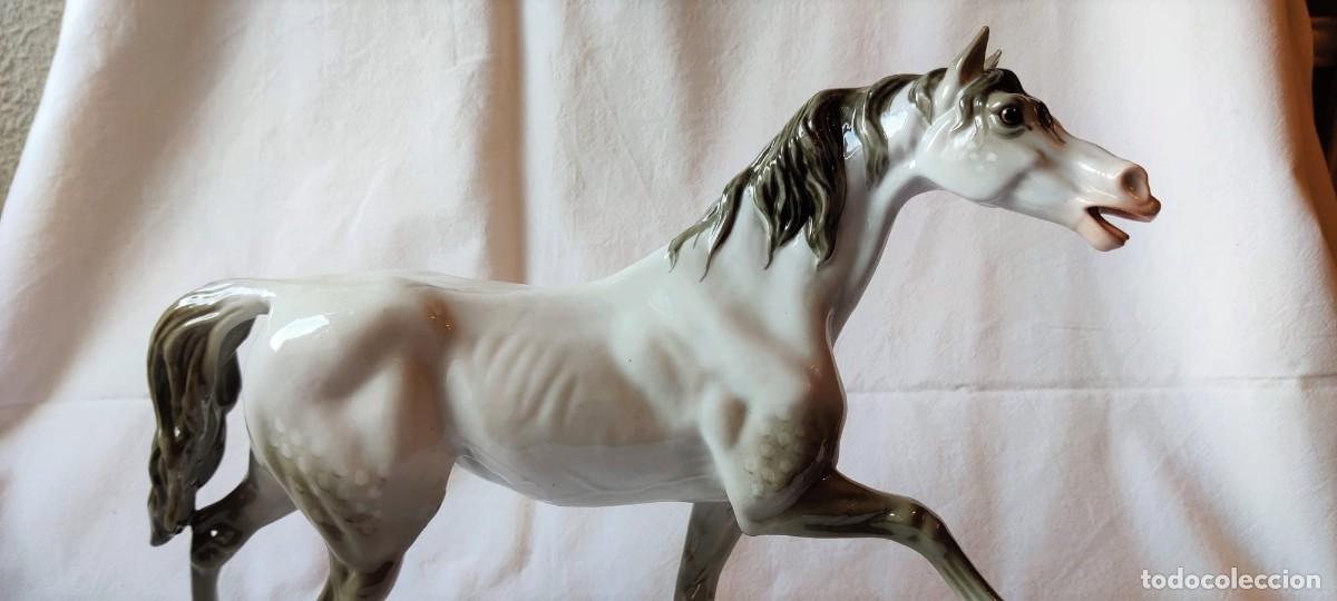 Antig&uuml;edades: ESPECTACULAR CABALLO DE PORCELANA - Foto 6