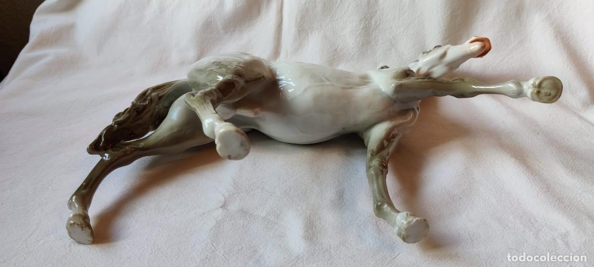 Antig&uuml;edades: ESPECTACULAR CABALLO DE PORCELANA - Foto 7