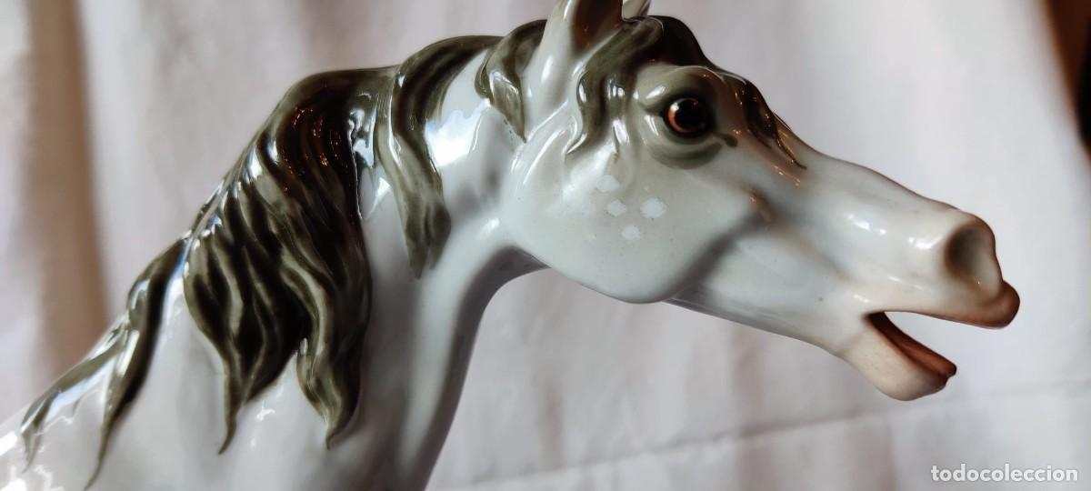 Antig&uuml;edades: ESPECTACULAR CABALLO DE PORCELANA - Foto 9