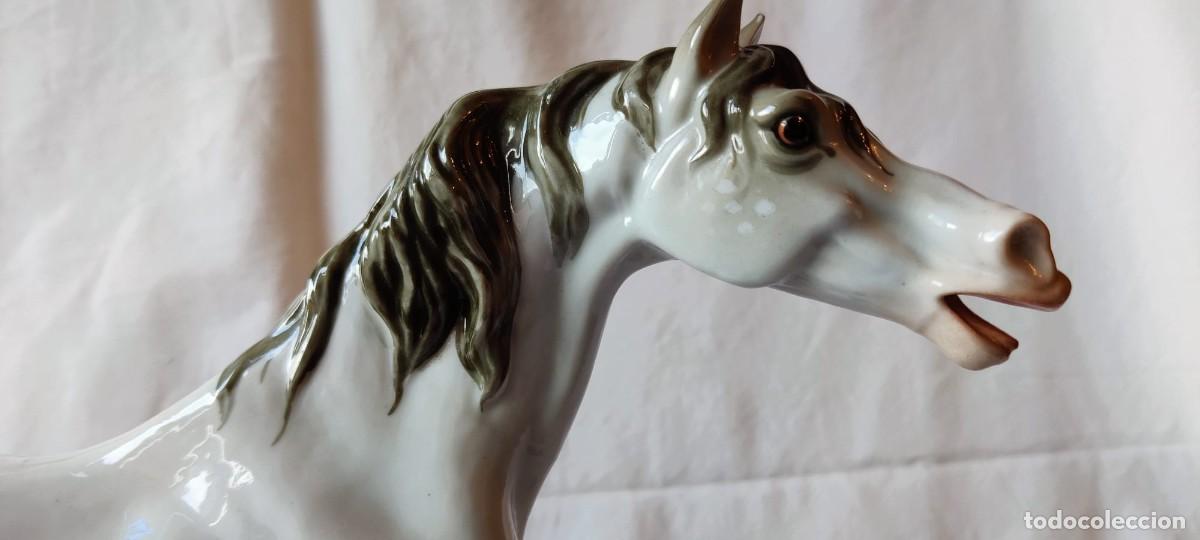 Antig&uuml;edades: ESPECTACULAR CABALLO DE PORCELANA - Foto 10