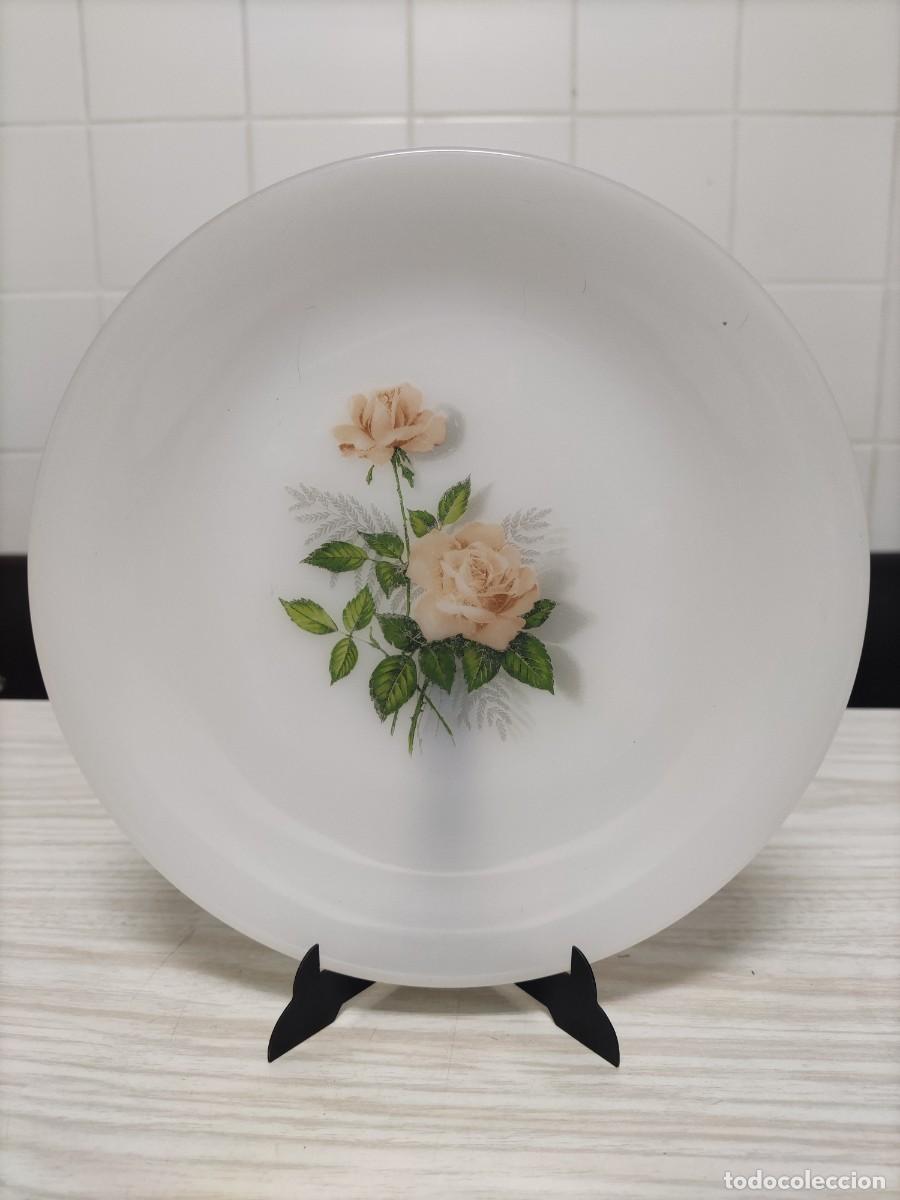 Antig&uuml;edades: Platos POSTRE ARCOPAL 70s - Foto 1