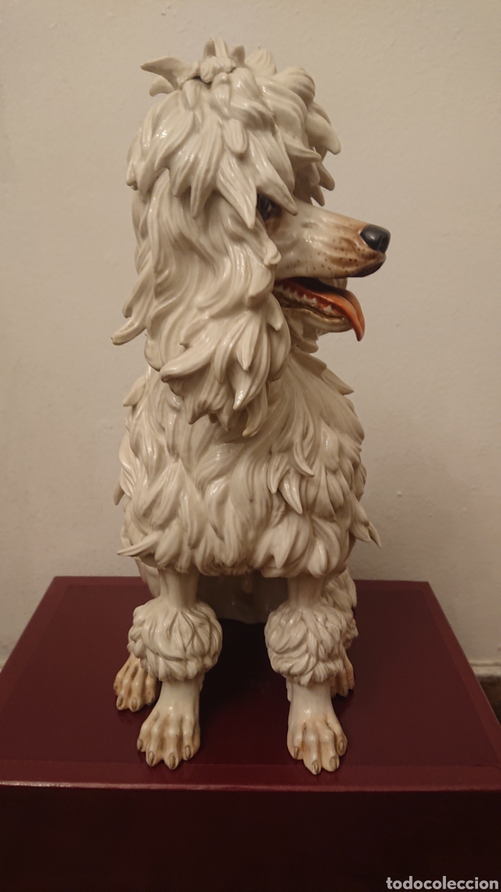 Antig&uuml;edades: Hermoso caniche blanco (Algora) - Foto 4