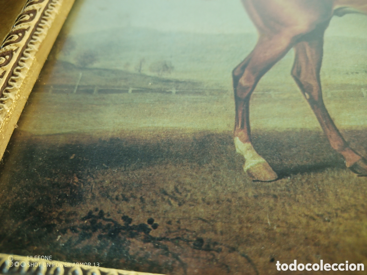 Antig&uuml;edades: Cuadro motivo equino - Foto 5