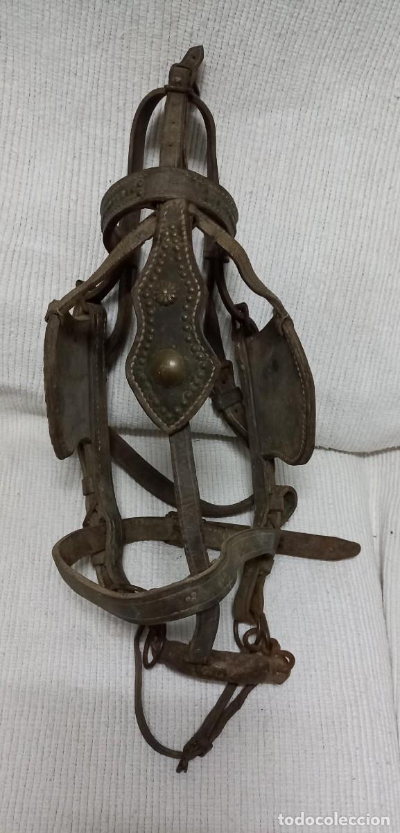 Antig&uuml;edades: Arreos de mula - Foto 2