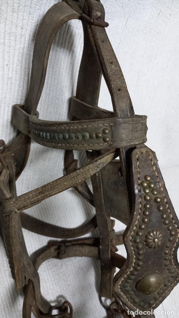 Antig&uuml;edades: Arreos de mula - Foto 6