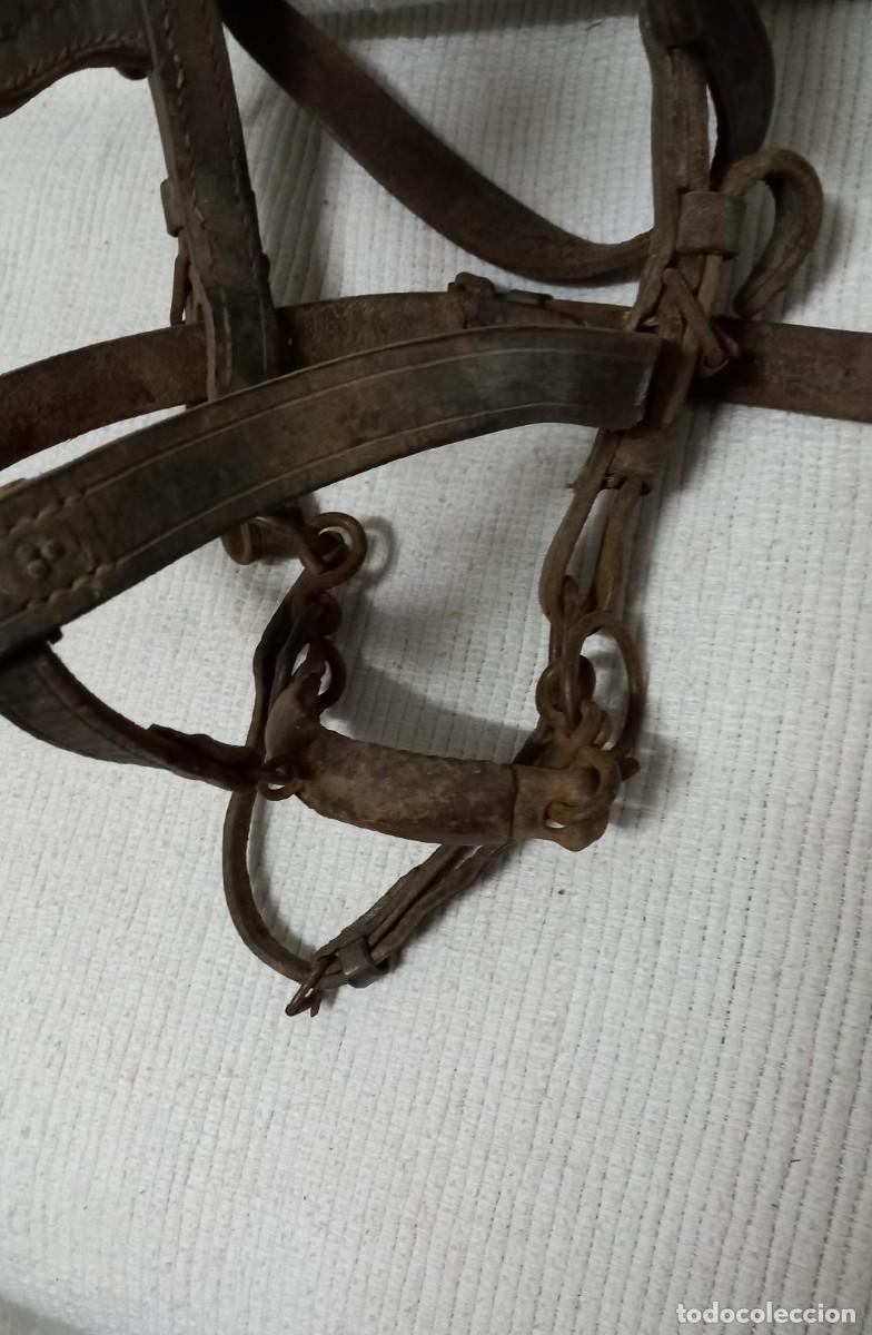 Antig&uuml;edades: Arreos de mula - Foto 7