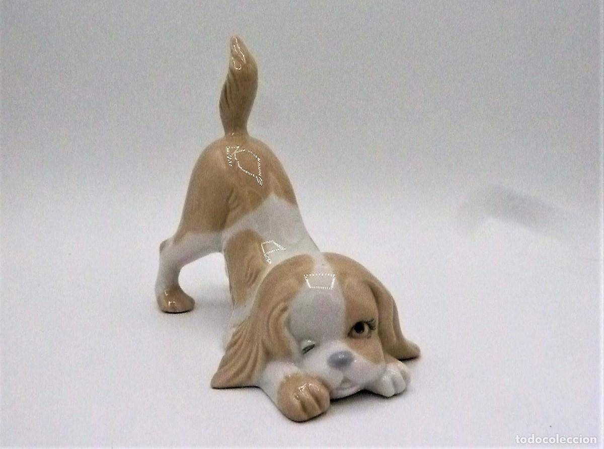 Antig&uuml;edades: Perro porcelanas Miguel - Foto 1