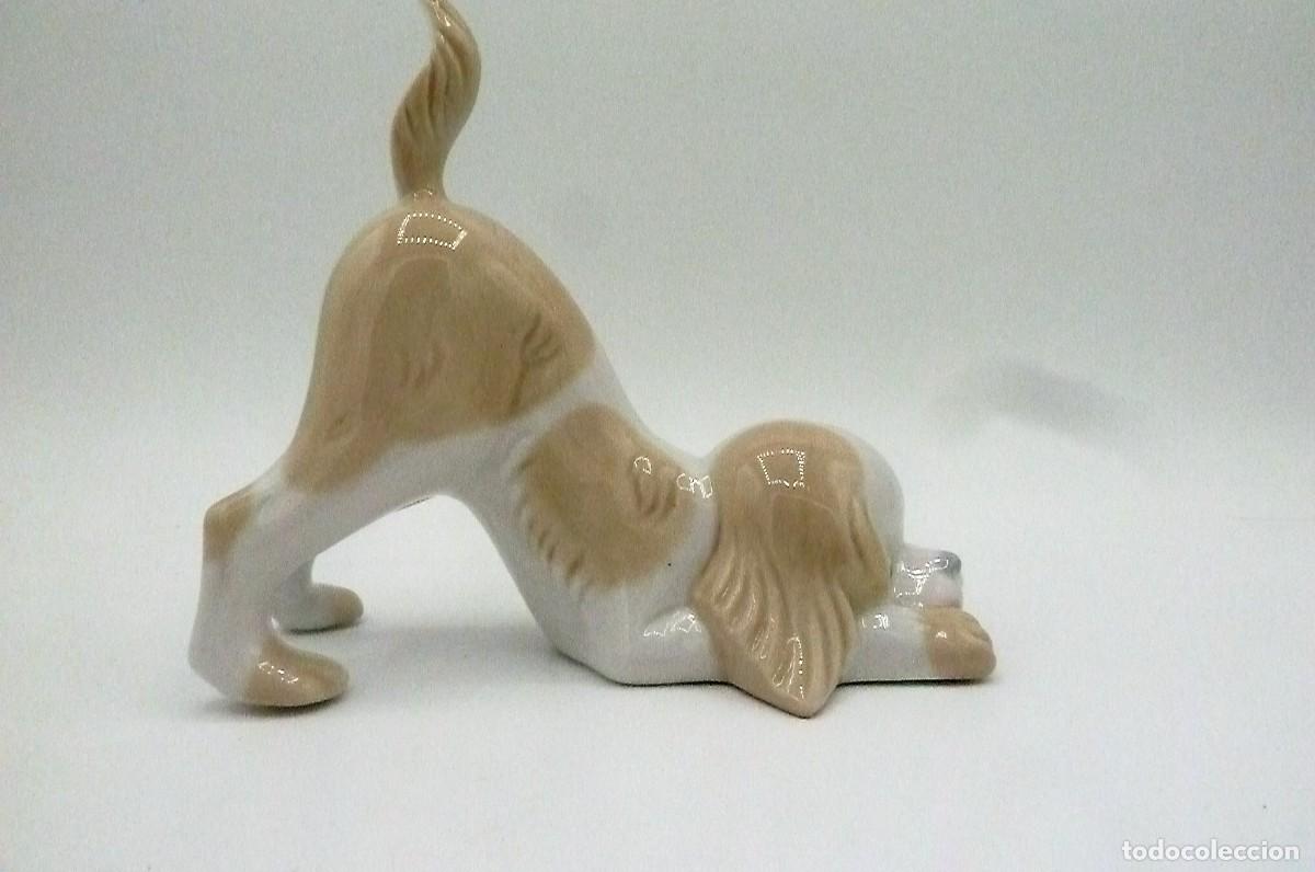Antig&uuml;edades: Perro porcelanas Miguel - Foto 3
