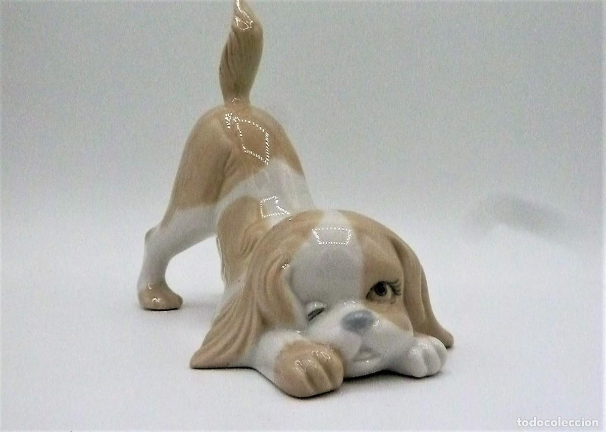 Antig&uuml;edades: Perro porcelanas Miguel - Foto 5