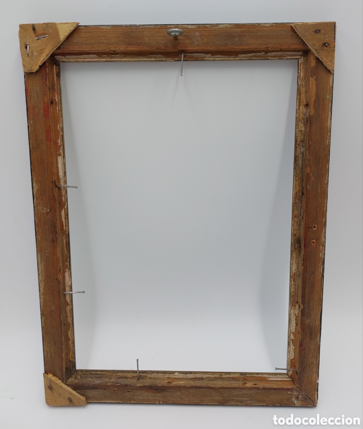 Antig&uuml;edades: Marco s&iacute;mil carey. Siglo XIX - Foto 5